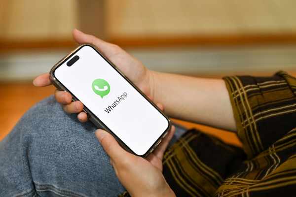 Como Ter o Selo de Verificação no WhatsApp Business? O Guia Completo - NexBlog