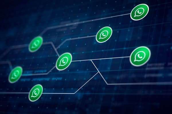 Domine a API do WhatsApp: Tudo o que você precisa saber - NexBlog
