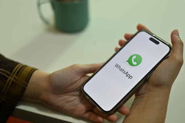 Como Funciona a API Oficial do WhatsApp? Guia Completo - NexBlog