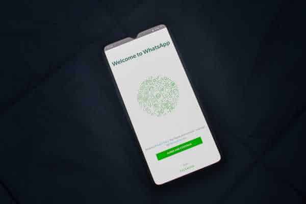 Disparador de Mensagens para WhatsApp: Como Escolher o Melhor - NexBlog