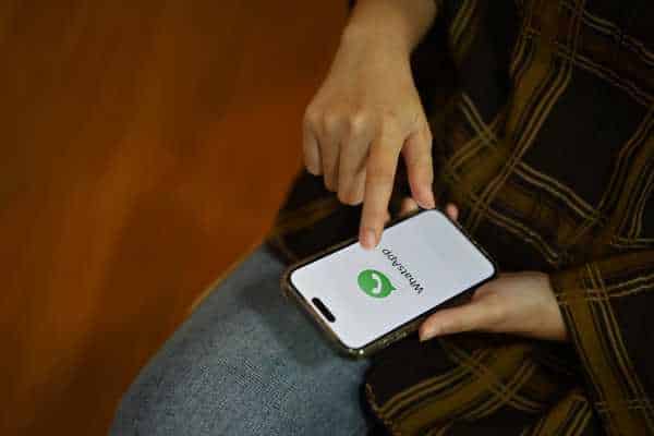 WhatsApp Marketing Software: Soluções Para Aumentar As Vendas - NexBlog
