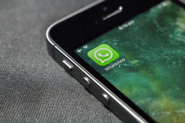 Ferramenta de Disparo de WhatsApp: Envie Mensagens em Lote - NexBlog