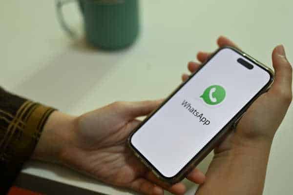 Melhores Chatbots Para WhatsApp: Como Escolher A Solução Ideal - NexBlog