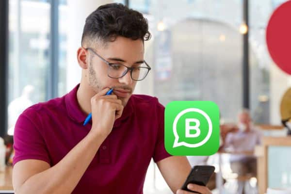 Ferramentas do WhatsApp Business: guia completo - NexBlog